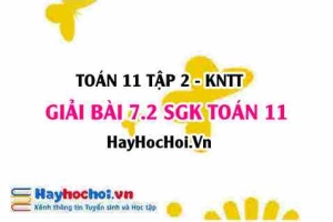 Bài 7.2 SGK Toán 11 Tập 2 Kết nối tri thức